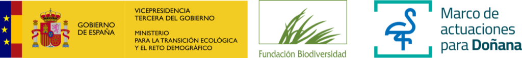 Logotipos de los financiadores