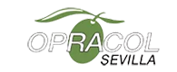 OPRACOL Sevilla